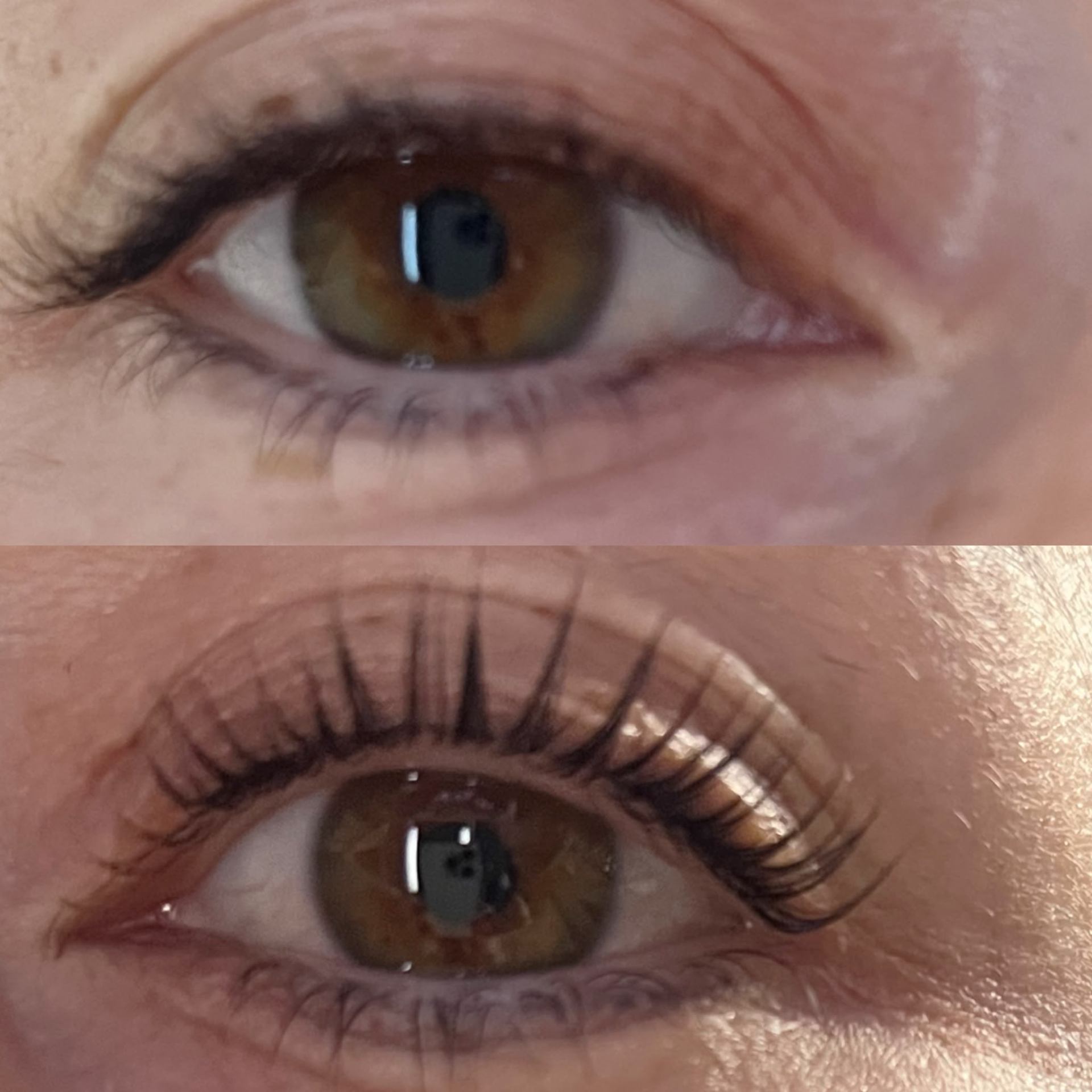 Vitamin Lashlifting Vorher-Nachher – längere, vollere Wimpern in Nahaufnahme